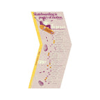 2026 他方暦 單月收藏版 Elsewhere Almanac: Single Sheet Edition